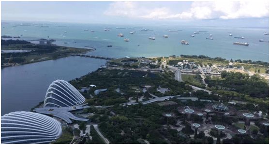 记皇家国际管理进步奖获得者新马六天游